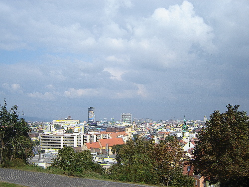 DSC09774.jpg