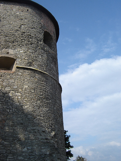 DSC09780.jpg